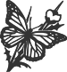 00302_OPT.png Image