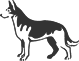 00403_OPT.png Image