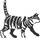00407_OPT.png Image