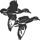 00408_OPT.png Image