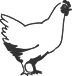 00410_OPT.png Image