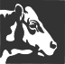 00415_OPT.png Image