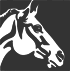 00417_OPT.png Image