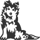 00423_OPT.png Image