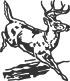 00433_OPT.png Image
