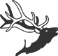 00434_OPT.png Image