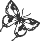 00442_OPT.png Image