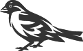 00491_OPT.png Image
