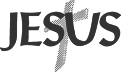 00843_OPT.png Image