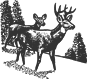 03596_OPT.png Image