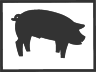04005_OPT.png Image