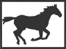 04020_OPT.png Image